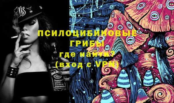 твердый Белокуриха