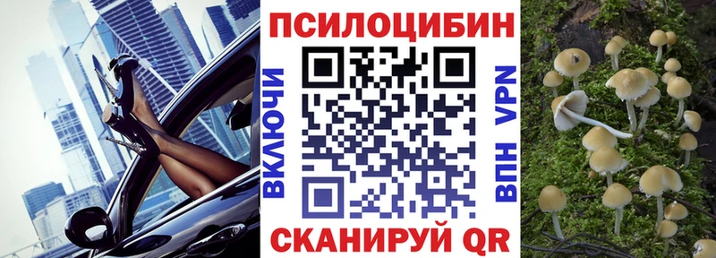 Галлюциногенные грибы Magic Shrooms  продажа наркотиков  Горно-Алтайск 