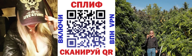 ссылка на мегу ONION  купить наркотики сайты  Горно-Алтайск  Канабис Bruce Banner 